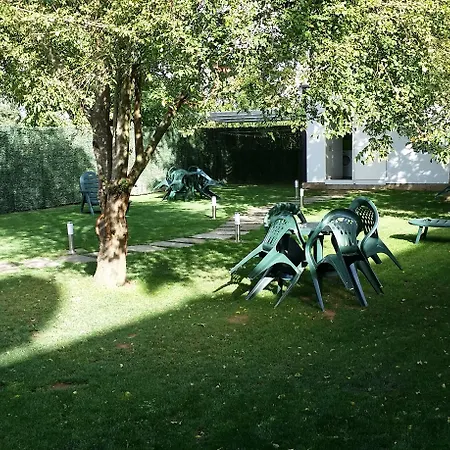 بيت شباب San Anton *